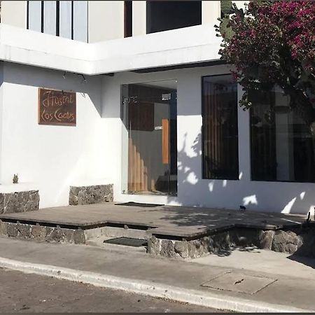 Cactus Hostel Puerto Baquerizo Moreno Exterior foto
