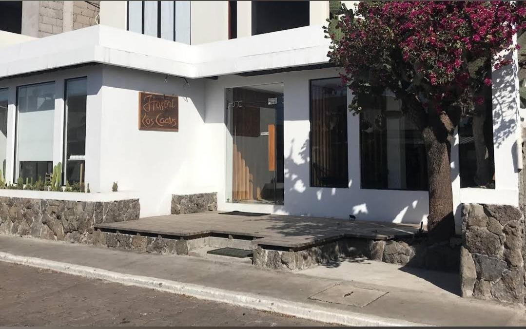 Cactus Hostel Puerto Baquerizo Moreno Exterior foto